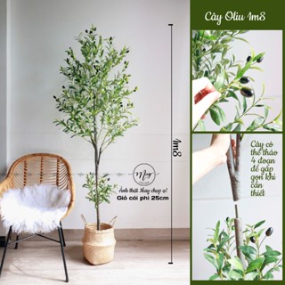 Cây giả,Cây Oliu giả có quả trang trí nhà cửa