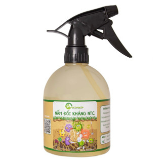 NẤM ĐỐI KHÁNG NTC TRICHODERMA - Phòng vệ cho bộ rễ, ngăn ngừa nấm hại