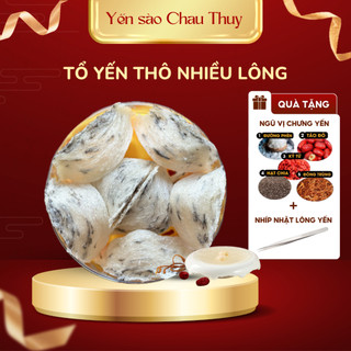 Yến Thô Loại Siêu Tiết Kiệm, Nhiều Lông, Tổ Yến Nguyên Chất Nở Siêu Ngon Tặng Kèm Nhíp, Đồ Chưng