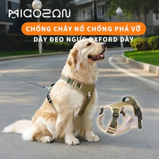 Đai Dắt Chó Phản Quang Micoson Dây Dẫn Cún Chất Liệu Bền Bỉ Phù Hợp Nhiều Kích Cỡ Thú Cưng Đi Dạo Ban Đêm