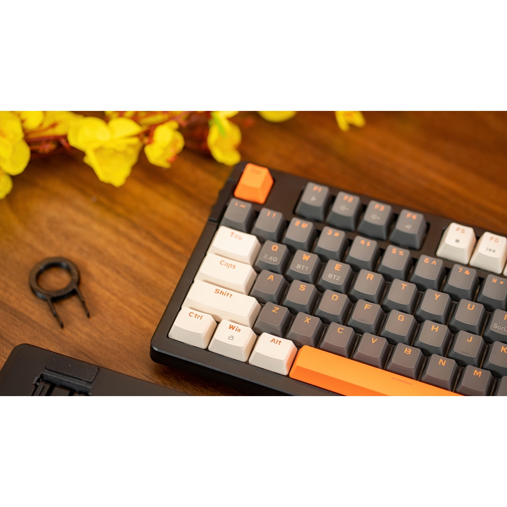 Bàn Phím Cơ EDRA EK398/EK398L/EK398PRO, Bàn Phím Gaming Bluetooth / Wireless 2.4Ghz - Bảo Hành 2 Năm | BigBuy360 - bigbuy360.vn