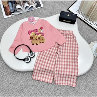 Bộ Đồ Quần áo dài 2 màu Capybara kết hợp với quần sọc hồng siêu dễ thương từ 14-40kg