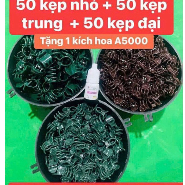 50 kẹp nhỏ  50 kẹp trung  50 kẹp đại  => tặng 1 kích hoa a5000