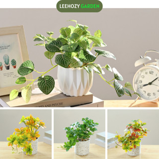Cây Giả Kèm Chậu Để Bàn, Cây Dây Leo Mô Phỏng  Decor Trang Trí Nhà Cửa Bàn Làm Việc Văn Phòng - LEEHOZY