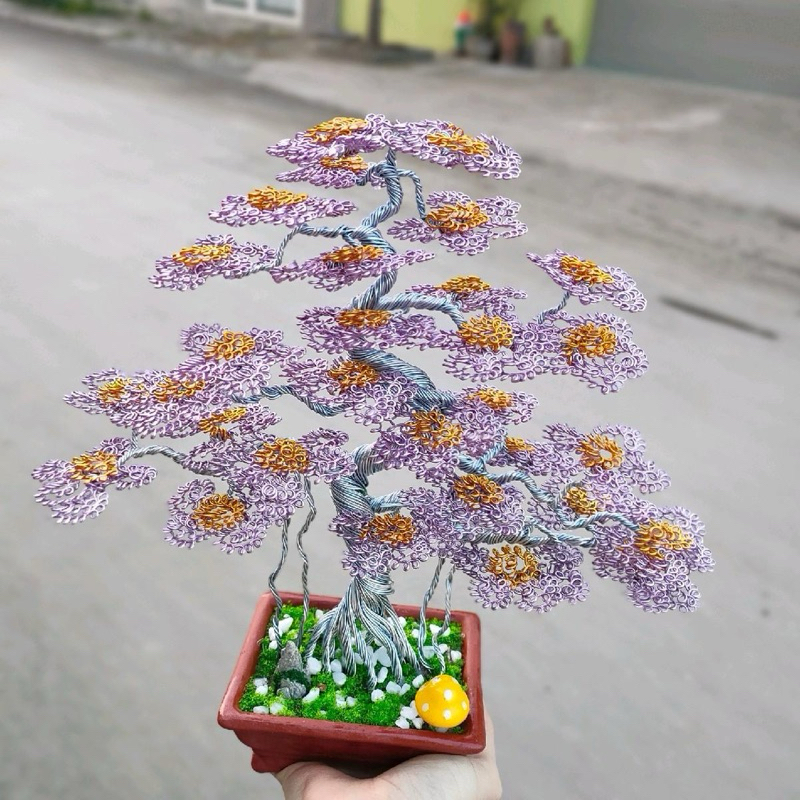 Cây bonsai dây đồng , cây cảnh mini