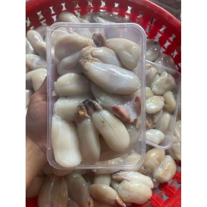 trứng mực nan size lớn - 0.5kg
