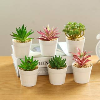 Cây sen đá giả kèm chậu nhựa mini cao 13cm kèm sỏi gắn keo chắc chắn dùng trang trí decor tiện lợi bền đẹp