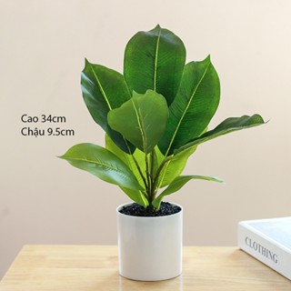 Chậu cây giả lá to cây cảnh để bàn trang trí decor nhanh tiện lợi bền đẹp