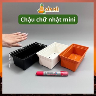 Chậu nhựa mini dài hình chữ nhật 18x9x7cm trồng sen đá tiểu cảnh, chậu trồng xương rồng bonsai