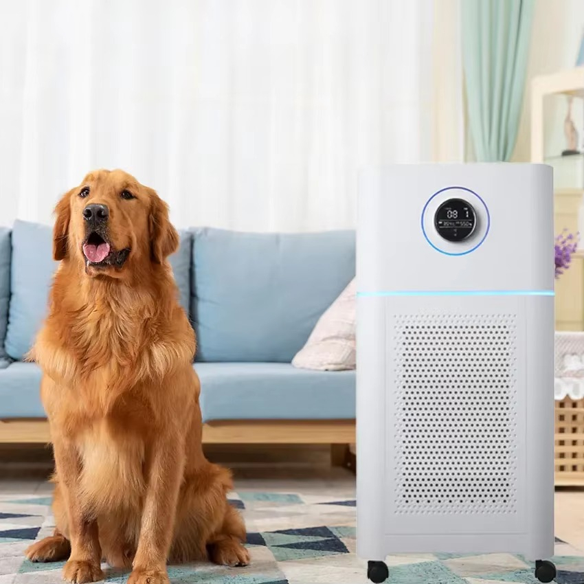 Máy Lọc Không Khí Avros KJ550 - HM808 - 888 Tạo Ẩm, Lọc Bụi PM2.5, Khử Khuẩn UV, Tạo Ion Âm.