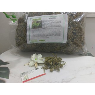 Cây Thông Đất (Râu rồng) 1Kg - Đông Y Thanh Bình