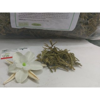 Cây Thông Đất (Râu rồng) 1Kg - Đông Y Thanh Bình