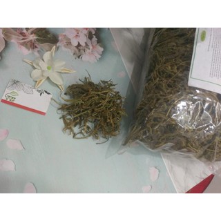 Cây Thông Đất (Râu rồng) 1Kg - Đông Y Thanh Bình