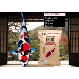 MEGA JUMBO -15KG Thức ăn cám cá Koi Siêu tăng trưởng Hikari nội địa - Green Aqua Koi