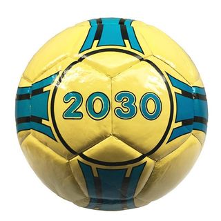 Quả Bóng đá Futsal Geru 2030 Dán