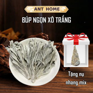 Ngọn xô thơm trắng White Sage Ant Home thanh tẩy không gian mang đến tài lộc