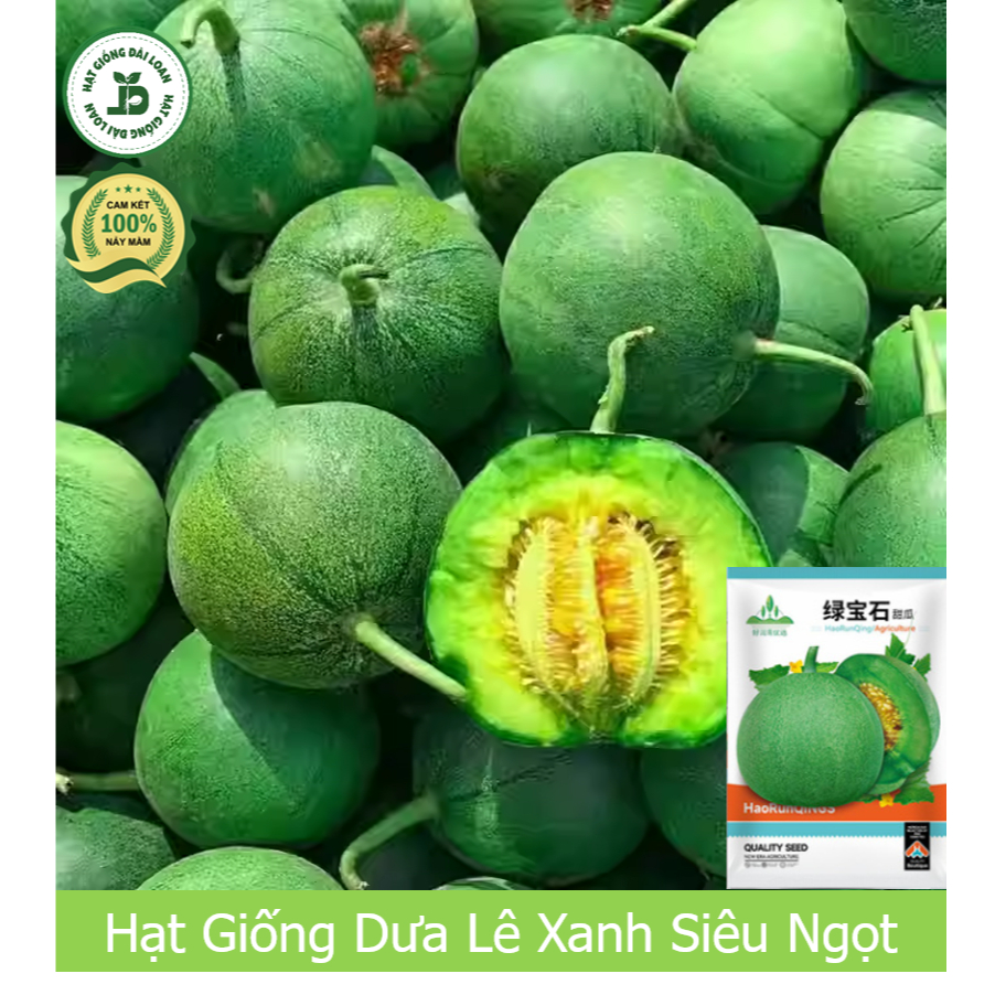 Hạt giống dưa lê xanh, dưa lê ngọc lục bảo Đài Loan siêu giòn ngọt