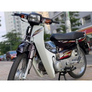 Cốp xe DREAM 100 (giá bán 1 cặp LD RL1)