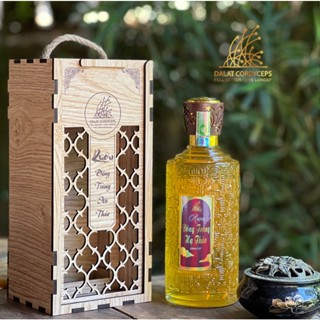 Đông trùng hạ thảo tươi ngâm rượu - Dalat Cordyceps - Hộp gỗ cao cấp