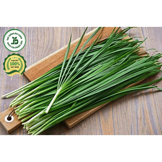 Hạt giống hẹ lá