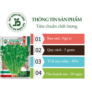 Hạt giống ngò rí, rau mùi