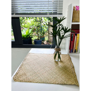 Thảm Cỏ Bàng decor ☘️