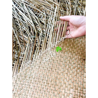 Thảm Cỏ Bàng decor ☘️