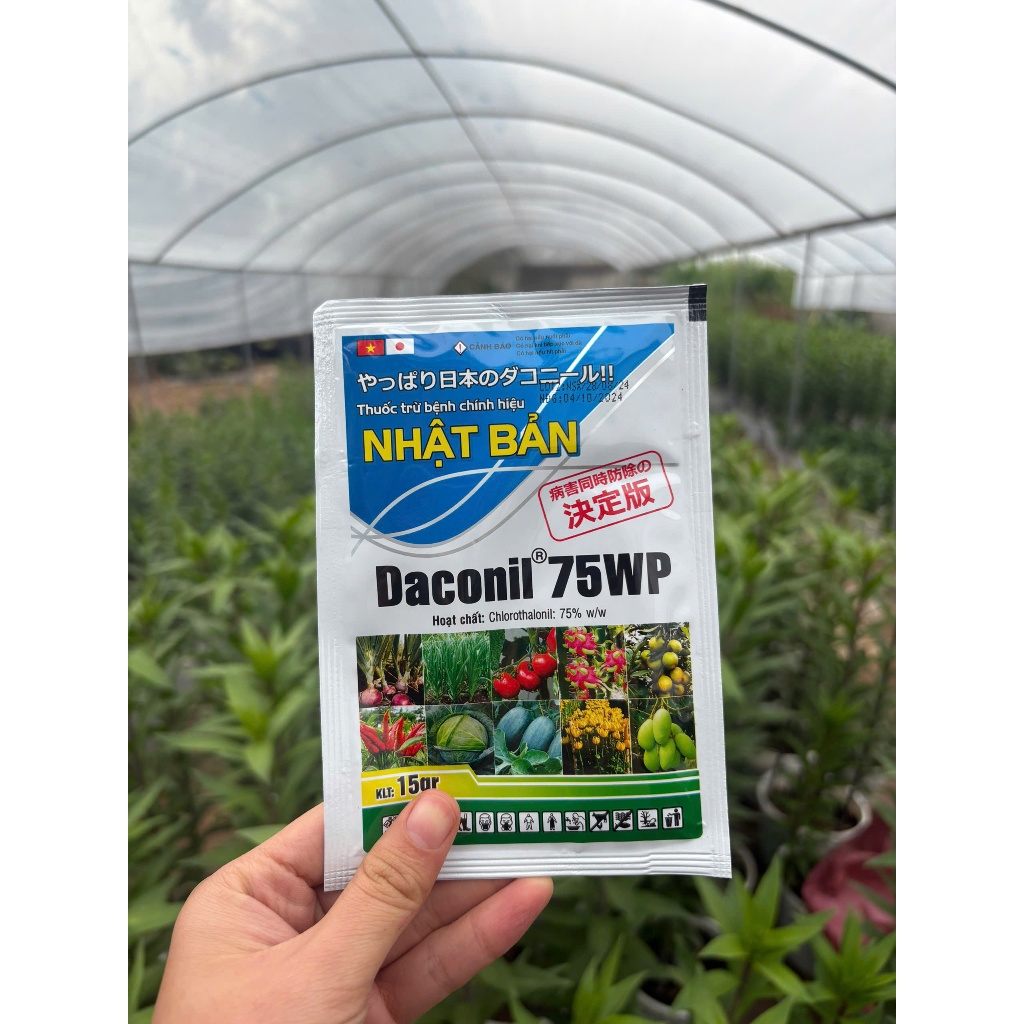 Thuốc nấm Daconil 75WP