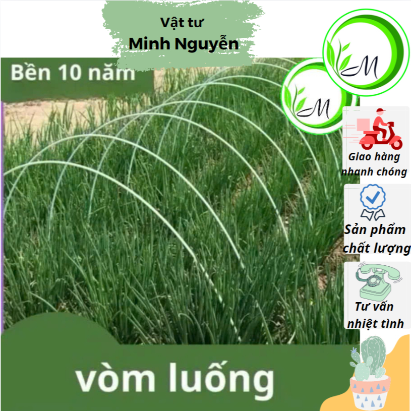 Que nan thuỷ tinh 2m làm giàn làm diều vòm luống trồng cây trồng rau thay tre nứa độ bền cao