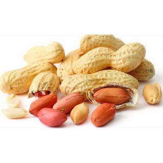 ĐẬU PHỘNG NGUYÊN HẠT GIÀU DINH DƯỠNG  - LÁ TÍA TÔ