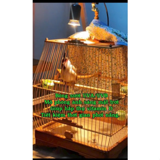  Đèn Kẹp Sưởi Cho Chim Rùa Và Bò Sát UVA UVB - Đèn Sưởi Cho Thú Cưng 