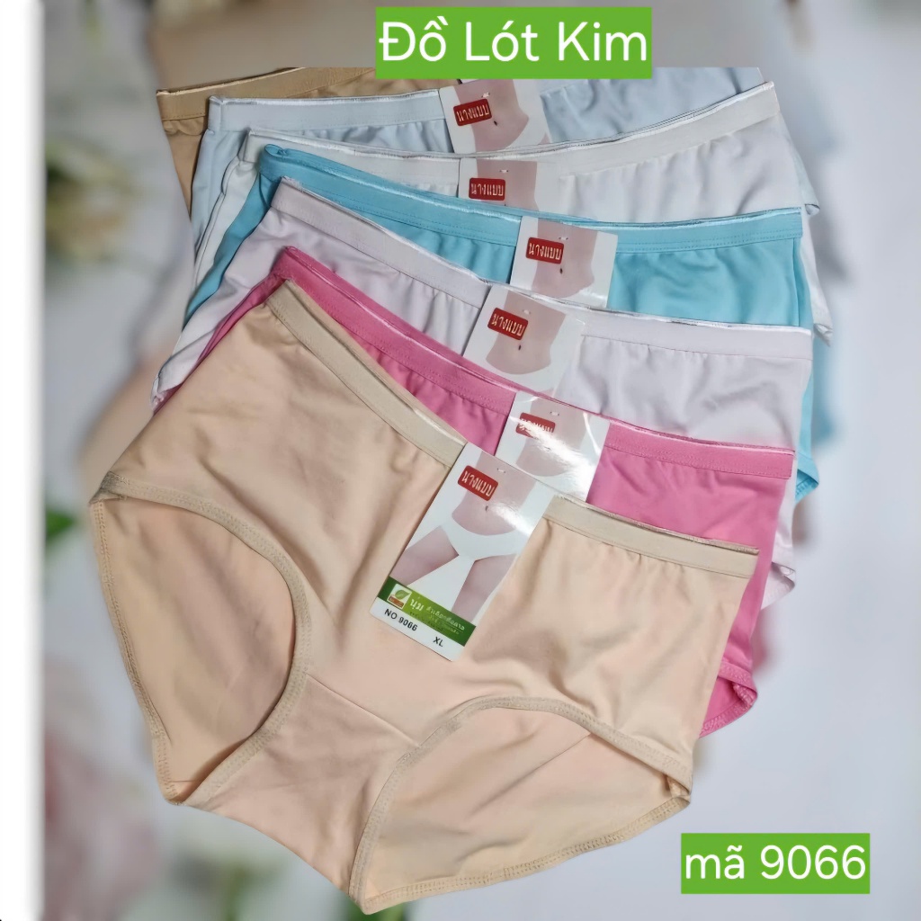 Combo 10 Quần lót nữ cotton Bigsize [ Mã 9066] 50-70kg cạp cao trơn. .Đồ Lót Kim