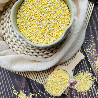 HẠT KÊ VÀNG GIÀU DINH DƯỠNG 200gr/500gr - LÁ TÍA TÔ