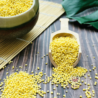 HẠT KÊ VÀNG GIÀU DINH DƯỠNG 200gr/500gr - LÁ TÍA TÔ