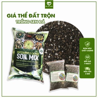 Giá Thể Đất Trồng Cây Sen Đá, Xương Rồng Chuẩn Loại 1 - Đầy  Đủ Dinh Dưỡng, Thoát Nước Tốt(1KG)