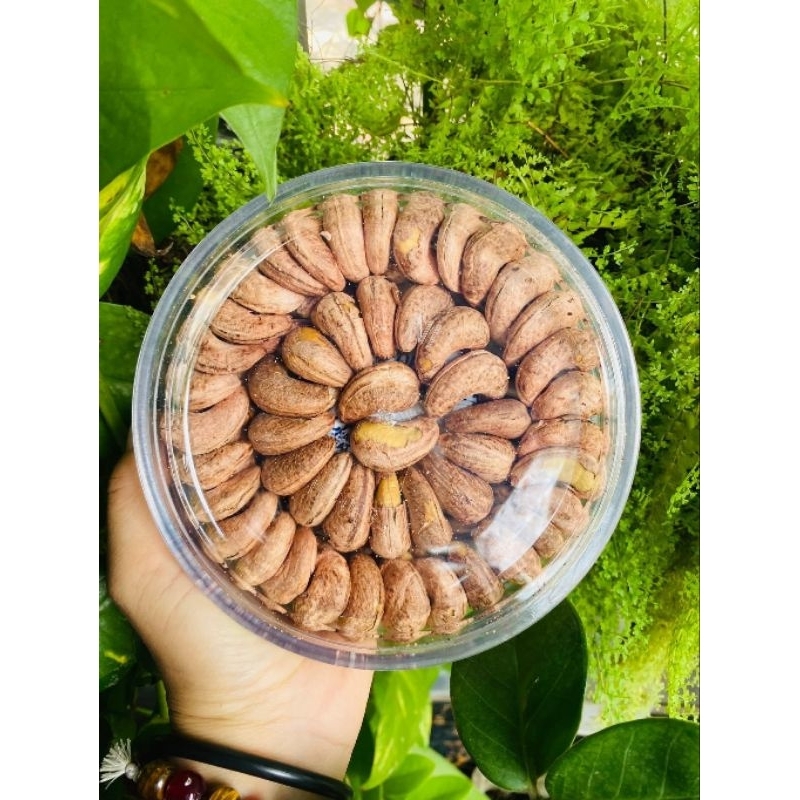 [500g] Hạt Điều Xếp Bông - Ăn Vặt Ngọc Hà