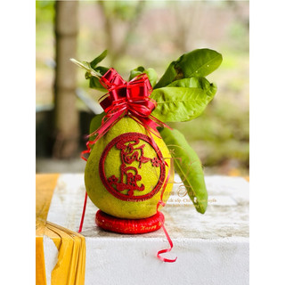 Đế chưng Dưa Dừa Bưởi tết