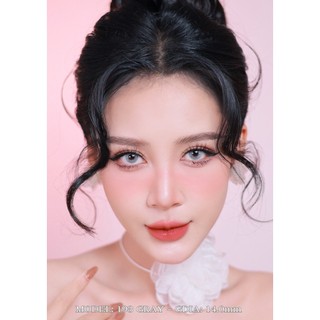 Lens tây không viền màu Xám/Nâu mã 193 kèm khay dụng cụ