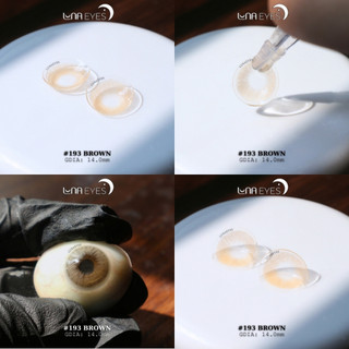 Lens tây không viền màu Xám/Nâu mã 193 kèm khay dụng cụ