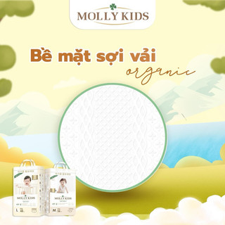 Tã Bỉm MOLLY KIDS Hàn Quốc Siêu Thấm Hút Chính Hãng