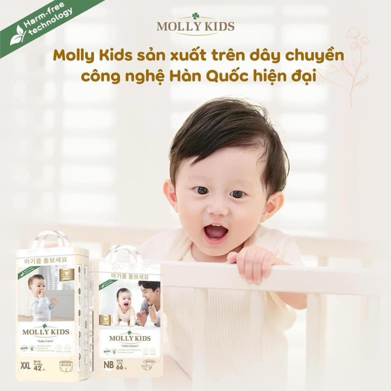 Tã Bỉm MOLLY KIDS Hàn Quốc Siêu Thấm Hút Chính Hãng