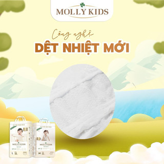 Tã Bỉm MOLLY KIDS Hàn Quốc Siêu Thấm Hút Chính Hãng