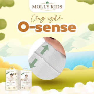 Tã Bỉm MOLLY KIDS Hàn Quốc Siêu Thấm Hút Chính Hãng
