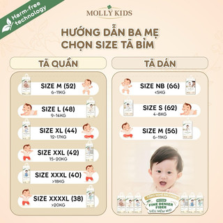 Tã Bỉm MOLLY KIDS Hàn Quốc Siêu Thấm Hút Chính Hãng