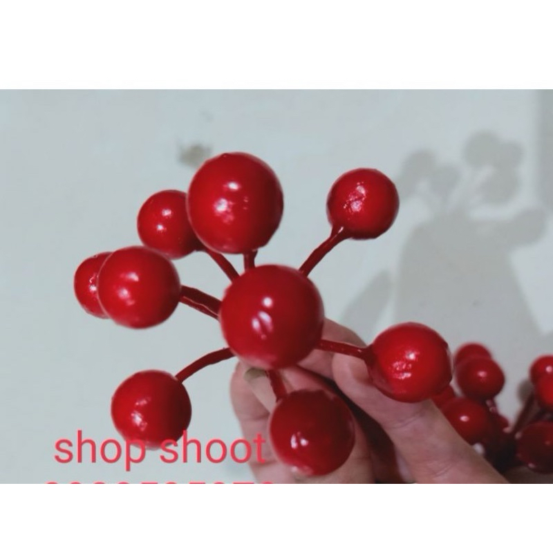 ĐÀO ĐÔNG DẠNG CHÙM tròn ( 10 CHÙM)