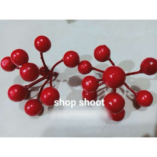 ĐÀO ĐÔNG DẠNG CHÙM tròn ( 10 CHÙM)