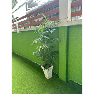 Cỏ 1,5cm xanh non lá mạ Combo 10m2(2m x 5m), dán tường, trải nền nhà, trang trí.