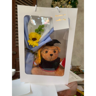 set gấu bông tốt nghiệp