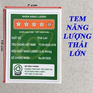 TEM NĂNG LƯỢNG NHIỀU LOẠI