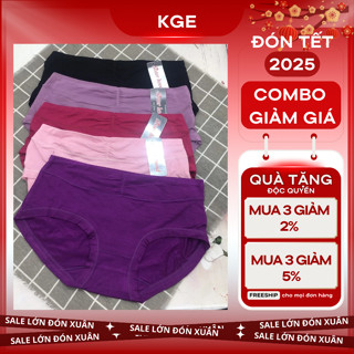 Quần Lót Cooton Quần Chip Nữ Cotton Co Giãn Size Lớn Vòng Mông 90cm - 98cm 3044